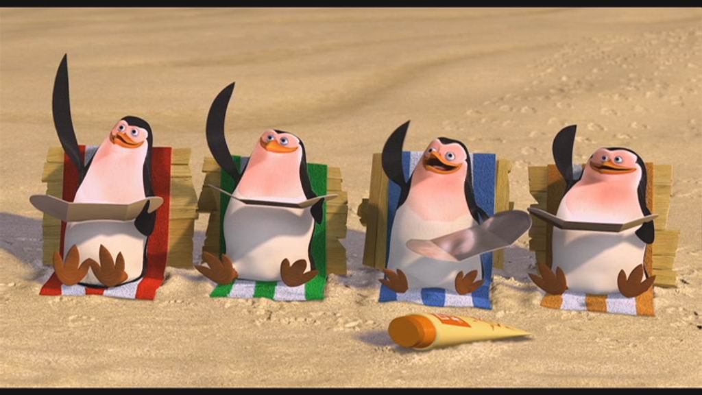 tučňáci se opékají
